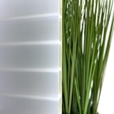 Detailansicht der 16 mm Acrylglas Stegdoppelplatte gold-opal mit Pflanzen im Hintergrund