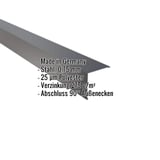 Außenecke Stahl Anthrazitgrau, 0,75 mm, 25 µm Polyester, mit eingeblendeten Eckdaten