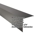 Außenecke Tiefschwarz RAL 9005, Stahl 0,50 mm, mit eingeblendeten Eckdaten