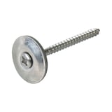 Edelstahlschraube blank mit Tellerkopf und Torx-Antrieb, freigestellt