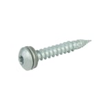 Edelstahlschraube mit Dichtscheibe und Torx-Antrieb in Weißaluminium (RAL 9006)