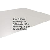 Flachblech Stahl 0,63 mm Weißaluminium RAL 9006 mit eingeblendeten Eckdaten
