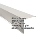 Ortgangwinkel Grauweiß (RAL 9002) aus Stahl, 0,75 mm, mit Polyesterbeschichtung, Eckdaten eingeblendet