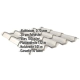 Pfannenblech EUROPA Weißaluminium mit eingeblendeten Eckdaten: Aluminium, 0,70 mm, 25 µm Polyester, Vlies 700 g/m²