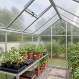 Innenansicht eines Gewächshauses mit klarer Polycarbonat Doppelstegplatte, 4,5 mm, als Dach und Wände
