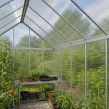 Innenansicht eines Gewächshauses mit Polycarbonat Doppelstegplatten 6 mm, klar, mit Pflanzen und Giesskanne