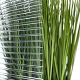 Detailansicht der 6 mm Polycarbonat Doppelstegplatte klar, mit grüner Pflanze im Hintergrund