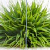 Polycarbonat Massivplatte 10 mm, klar, Detailansicht mit Wassertropfen und unscharfem Hintergrund