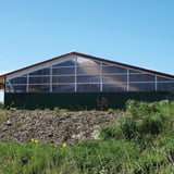 Polycarbonat Spundwandplatte 207/35, klar, 1,20 mm, als Wandverkleidung an einer Halle
