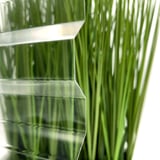 Detailansicht der klaren Polycarbonat Spundwandplatte 76/18 mit Profilstruktur und Hintergrundpflanze