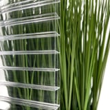 Polycarbonat Stegplatte | 16 mm | Profil A1 | Sparpaket | Plattenbreite 98 cm | Klar | Blueline | Breite 8,12 m | Länge 6,00 m