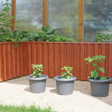 Polycarbonat Stegplatte | 16 mm | Breite 98 cm | Klar | X-Struktur | 4,00 m
