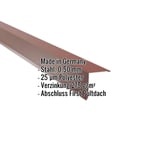 Pultabschluss aus Stahl, rotbraun RAL 8012, mit eingeblendeten Produktdaten