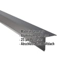 Pultabschluss Aluminium Anthrazitgrau 0,70 mm mit eingeblendeten Eckdaten Made in Germany, 25 µm Polyester