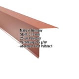 Pultabschluss Kupferbraun RAL 8004 aus Stahl 0,75 mm, 25 µm Polyester, mit eingeblendeten Eckdaten