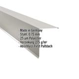 Pultabschluss aus Stahl, Weißaluminium RAL 9006, 0,75 mm Stärke, mit eingeblendeten Eckdaten