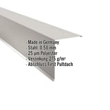 Pultabschluss Lichtgrau RAL 7035 aus Stahl 0,50 mm, Eckdaten eingeblendet