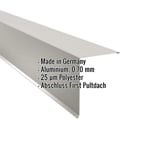 Pultabschluss Aluminium 0,70 mm Weißaluminium RAL 9006 mit eingeblendeten Eckdaten