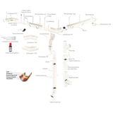 Explosionszeichnung eines Dachrinnensystems in Reinweiß (RAL 9010) mit allen Einzelteilen und Materialschicht-Infografik