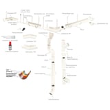 Explosionszeichnung eines Dachrinnensystems in Reinweiß mit allen Einzelteilen und Materialschichten