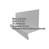 Sockelleiste Typ 2 Graualuminium RAL 9007 mit eingeblendeten Eckdaten zu Material, Staerke und Beschichtung