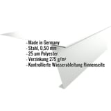 Startprofil Stahl 0,50 mm Lichtgrau mit eingeblendeten Eckdaten