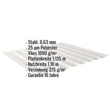 Trapezblech 20/1100 in Weißaluminium, Stahl 0,63 mm, mit Vlies 1000 g/m² und weiteren Eckdaten als Infografik