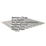 Trapezblech 20/1100 Aluminium RAL 9007 mit eingeblendeten Eckdaten zu Material, Beschichtung und Massen