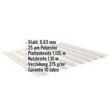 Trapezblech 20/1100, Stahl 0,63 mm, Polyester 25 µm, Grauweiß RAL 9002, mit eingeblendeten Eckdaten