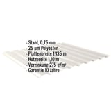 Trapezblech 20/1100 | Wand | Stahl 0,75 mm | 25 µm Polyester | 9002 - Grauweiß