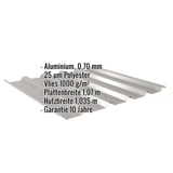 Trapezblech 35/207 Aluminium Graualuminium mit eingeblendeten Eckdaten zu Material, Staerke und Massen