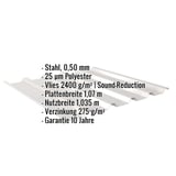 Trapezblech 35/207 Lichtgrau RAL 7035, Infografik mit Eckdaten zu Material, Beschichtung und Massen
