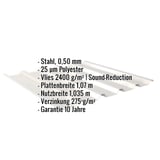 Trapezblech 35/207 Grauweiß mit eingeblendeten technischen Daten und Vliesbeschichtung