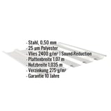 Trapezblech 35/207, Weißaluminium RAL 9006, mit eingeblendeten technischen Eckdaten