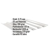 Trapezblech 35/207 in Weißaluminium, Stahl 0,75 mm, mit Anti-Tropf-Vlies, Eckdaten eingeblendet