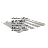 Trapezblech 35/207 Aluminium Graualuminium mit eingeblendeten Eckdaten zu Material, Staerke und Garantie