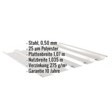 Trapezblech 35/207 Lichtgrau mit eingeblendeten Eckdaten zu Material, Staerke und Beschichtung