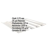 Trapezblech 35/207 in Grauweiß, 0,75 mm Stahl, mit eingeblendeten Eckdaten zu Material und Garantie