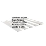 Trapezblech 35/207 Aluminium Weißaluminium RAL 9006 mit eingeblendeten Eckdaten und Garantiehinweis
