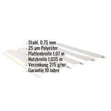 Trapezblech 35/207 Wand, Grauweiß RAL 9002, 0,75 mm Stahl, Infografik mit Eckdaten