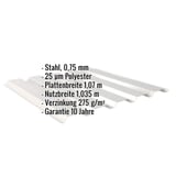 Trapezblech 35/207 Wand, Weißaluminium, mit eingeblendeten Eckdaten zu Material, Stärke und Beschichtung