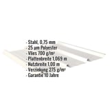 Trapezblech 45/333 in Grauweiß, 0,75 mm Stahl, mit eingeblendeten technischen Daten und Vliesbeschichtung