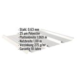 Trapezblech 45/333, Weißaluminium, 0,63 mm Stahl, mit eingeblendeten Eckdaten