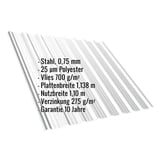 Trapezblech T18DR Lichtgrau, 0,75 mm Stahl, Polyesterbeschichtung, Vlies 700 g/m², Plattenbreite 1,138 m, Nutzbreite 1,10 m,