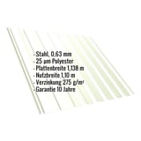 Trapezblech T20M Grauweiß, Detailansicht mit eingeblendeten technischen Daten und Garantiehinweis