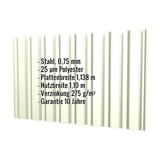 Trapezblech T20M Wand Grauweiß RAL 9002, 0,75 mm Stahl, mit eingeblendeten technischen Daten