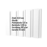 Trapezblech T35/207M Aluzink, 0,63 mm, mit eingeblendeten Eckdaten zu Material, Staerke und Garantie