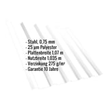 Trapezblech T35/207MD Reinweiß, Stahl 0,75 mm mit 25 µm Polyesterbeschichtung, Eckdaten eingeblendet