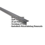 Traufenblech Anthrazitgrau RAL 7016, 0,75 mm Stahl, mit eingeblendeten Eckdaten
