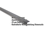 Traufenblech Aluminium Anthrazitgrau RAL 7016, 0,70 mm, mit eingeblendeten Eckdaten